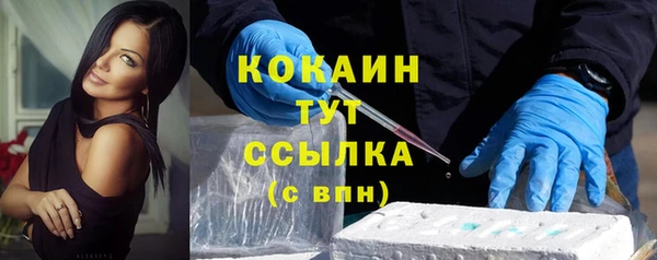 шишки Семилуки