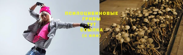 марки nbome Белокуриха
