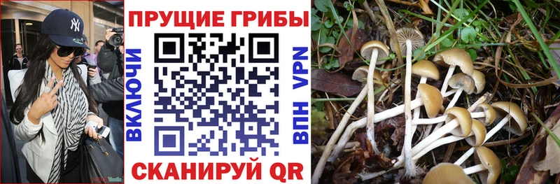 Галлюциногенные грибы мухоморы Пестово